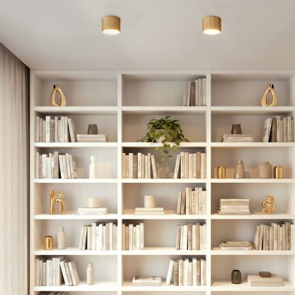 Brilagi - LED Spot STRIPY 1xGX53/15W/230V doré