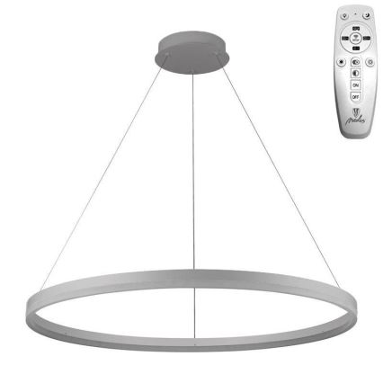 Brilagi - Suspension LED dimmable sur câble CIRCLE LED/55W/230V 3000-6500 K Ø 80 cm argenté + télécommande