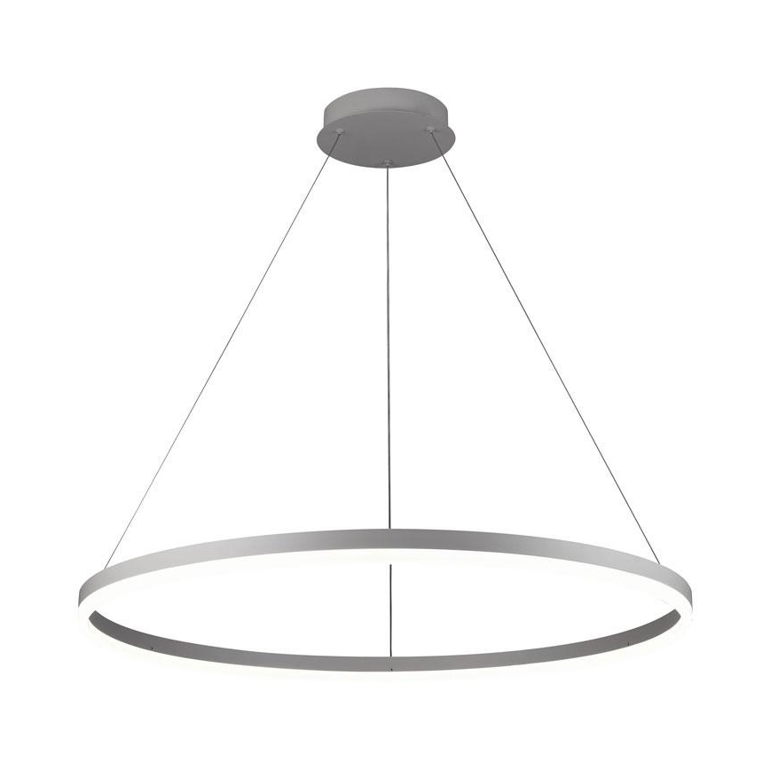 Brilagi - Suspension LED dimmable sur câble CIRCLE LED/55W/230V 3000-6500 K Ø 80 cm argenté + télécommande