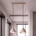 BRILAGI - LED Suspension sur câble CONE DOUBLE 2xGX53/15W/230V beige