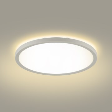 Brilagi - Luminaire à intensité variable avec détecteur de mouvement et de crépuscule ULTRA SLIM LED/18W/230V d. 30 cm + Télécommande