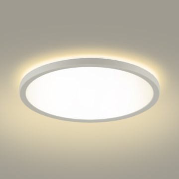 Brilagi - Luminaire à intensité variable avec détecteur de mouvement et de crépuscule ULTRA SLIM LED/24W/230V d. 42 cm + Télécommande
