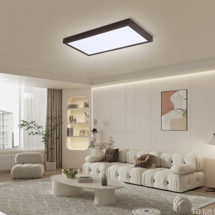 Brilagi - Plafonnier à intensité variable salle de bain FRAME SMART LED/30W/230V 30x60 cm 3000-6000K  IP44 noir  + Télécommande