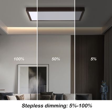 Brilagi - Plafonnier à intensité variable salle de bain FRAME SMART LED/30W/230V 30x60 cm 3000-6000K  IP44 noir  + Télécommande