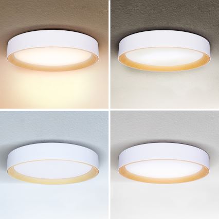 Brilagi - Plafonnier à intensité variable LARIOS LED/60W/230V 3000-6500K ø 49 cm blanc + Télécommande