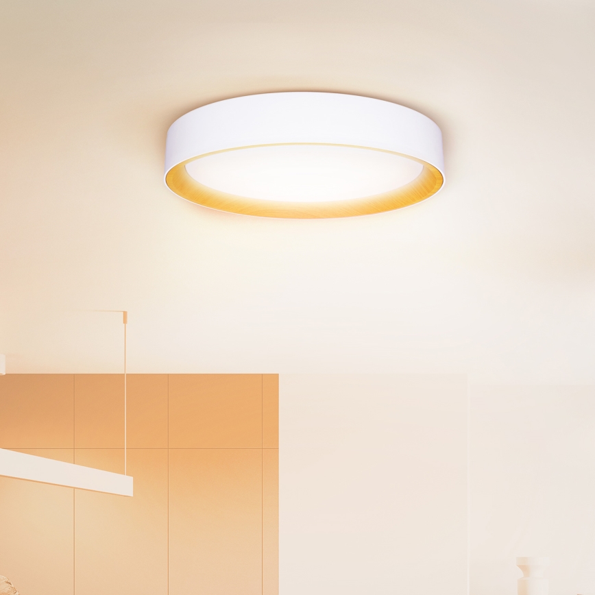 Brilagi - Plafonnier à intensité variable LARIOS LED/60W/230V 3000-6500K ø 49 cm blanc + Télécommande