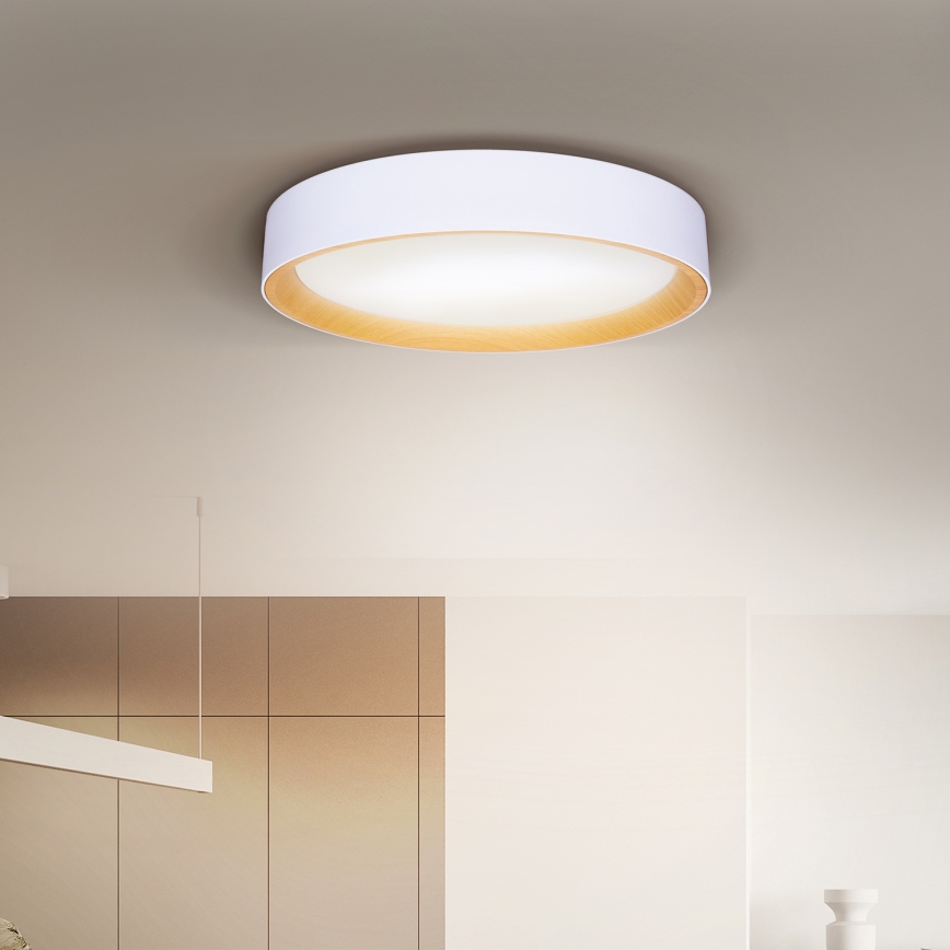 Brilagi - Plafonnier à intensité variable LARIOS LED/60W/230V 3000-6500K ø 49 cm blanc + Télécommande