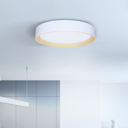 Brilagi - Plafonnier à intensité variable LARIOS LED/60W/230V 3000-6500K ø 49 cm blanc + Télécommande