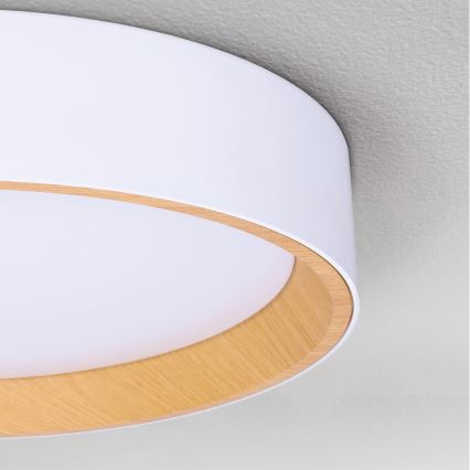 Brilagi - Plafonnier à intensité variable LARIOS LED/60W/230V 3000-6500K ø 49 cm blanc + Télécommande