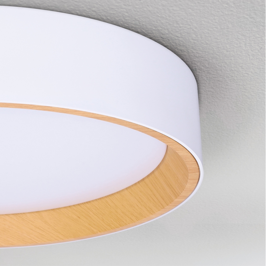 Brilagi - Plafonnier à intensité variable LARIOS LED/60W/230V 3000-6500K ø 49 cm blanc + Télécommande