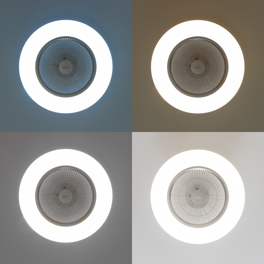 Brilagi - Luminaire à intensité variable LED avec ventilateur AURA LED/38W/230V 3000-6000K argenté + télécommande