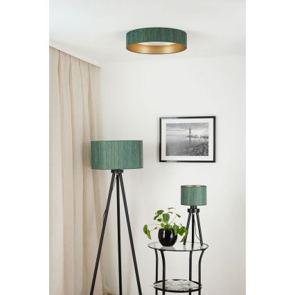 Brilagi - Plafonnier à intensité variable VEGAS SHINE LED/24W/230V 3000/4000/6500K paille vert/doré + Télécommande