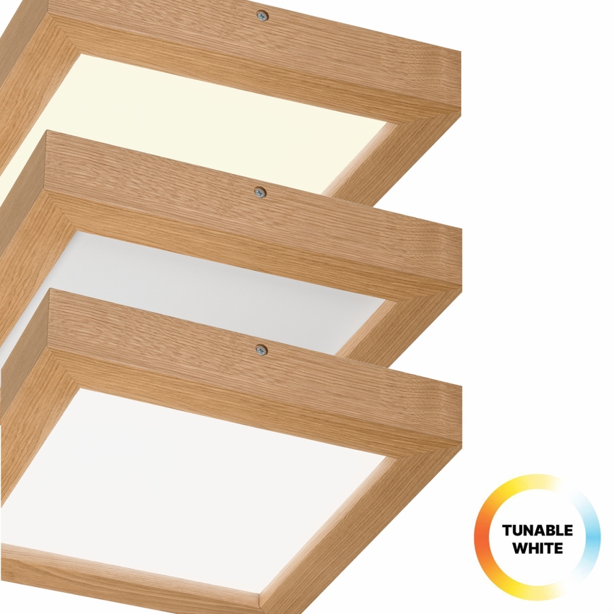 Brilagi - Plafonnier à intensité variable salle de bain WOODY FRAME LED/24W/230V chêne 30x30 cm 3000-6000K IP44 + télécommande