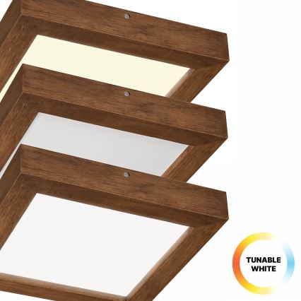 Brilagi - Plafonnier à intensité variable salle de bain WOODY FRAME LED/24W/230V chêne cerise 30x30 cm 3000-6000K IP44 + Télécommande
