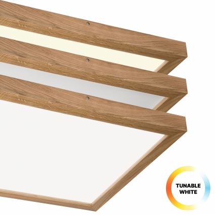 Brilagi - Plafonnier à intensité variable salle de bain WOODY FRAME LED/50W/230V chêne 60x60 cm 3000-6000K IP44 + télécommande