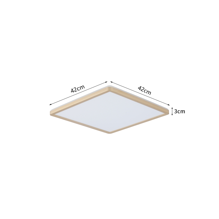 Brilagi - Luminaire de salle de bains ULTRA PLAT LED/24W/230V 42x42 cm doré IP54