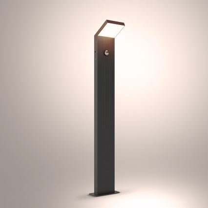 Brilagi - Luminaire d'extérieur avec détecteur RIANO LED/8W/230V anthracite IP65 80 cm