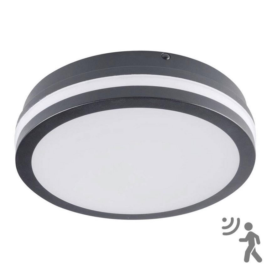 Brilagi - luminaire d'extérieur LED avec détecteur BENE LED/18W/230V Ø 22 cm anthracite IP54