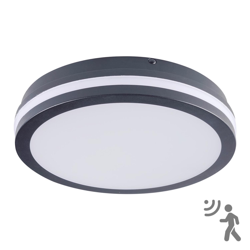 Brilagi - Luminaire d'extérieur LED avec détecteur BENE LED/24W/230V Ø 26 cm anthracite IP54