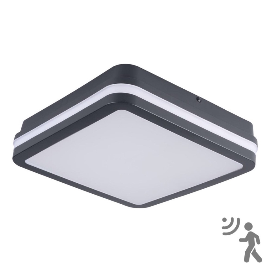 Brilagi - LED luminaire d'extérieur avec détecteur BENE LED/18W/230V 22x22 cm anthracite IP54