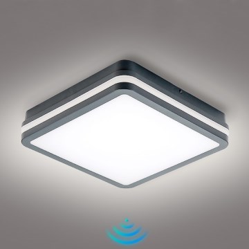 Brilagi - Luminaire LED d'extérieur avec détecteur de mouvement BENE LED/24W/230V 26x26 cm anthracite IP54