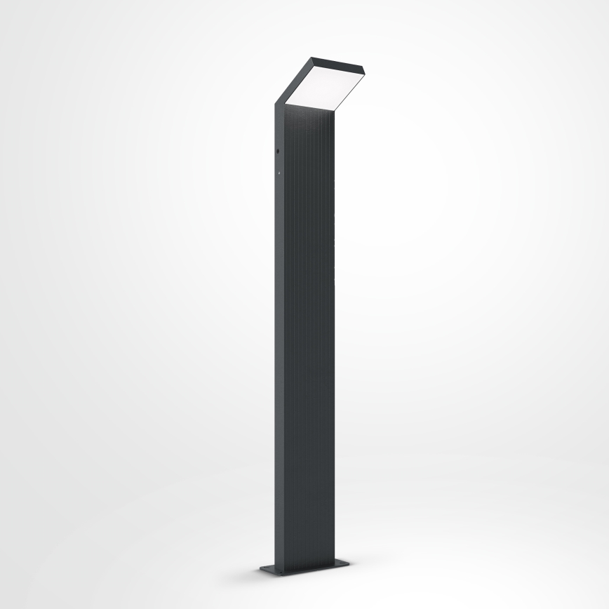 Brilagi - Luminaire LED d'extérieur RIANO 8 W 230 V anthracite IP65 80 cm