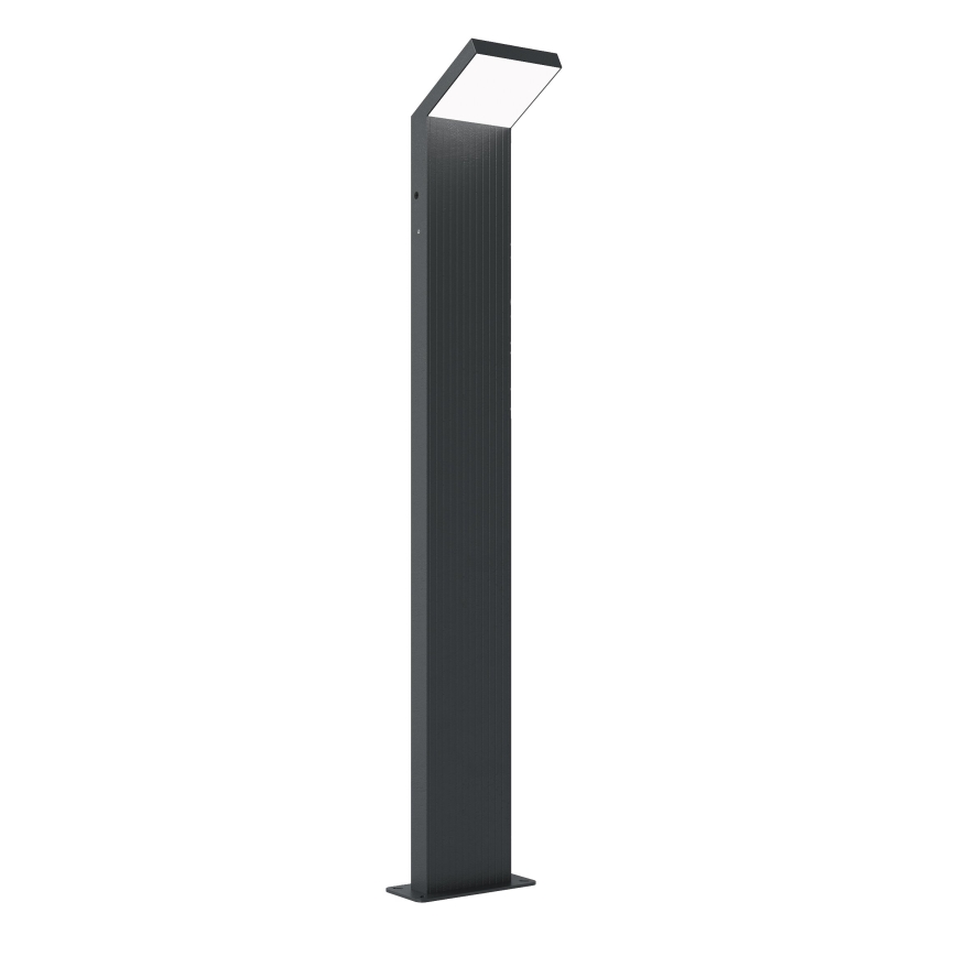 Brilagi - Luminaire LED d'extérieur RIANO 8 W 230 V anthracite IP65 80 cm