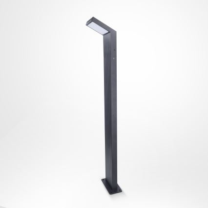 Brilagi - Luminaire LED d'extérieur RIANO 8 W 230 V anthracite IP65 80 cm