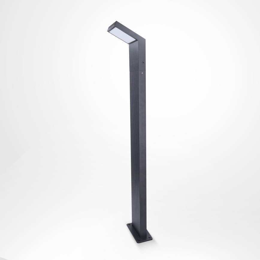 Brilagi - Luminaire LED d'extérieur RIANO 8 W 230 V anthracite IP65 80 cm