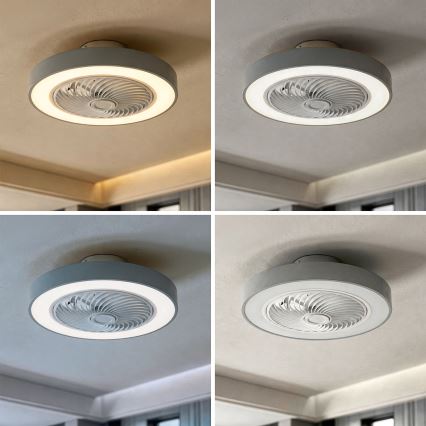 Brilagi - Plafonnier LED dimmable avec ventilateur 38W/230V 3000-6500K Ø 50 cm gris + télécommande