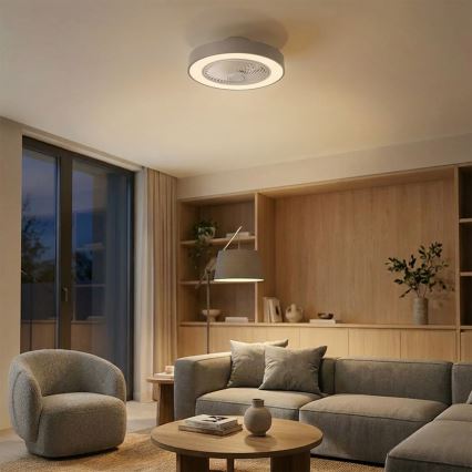 Brilagi - Plafonnier LED dimmable avec ventilateur 38W/230V 3000-6500K Ø 50 cm gris + télécommande