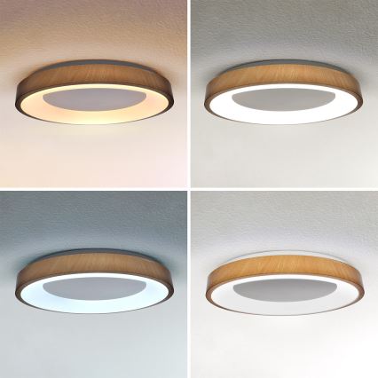 Brilagi - Plafonnier LED dimmable DORIA LED/60W/230V 3000-6500K Ø 60 cm + télécommande