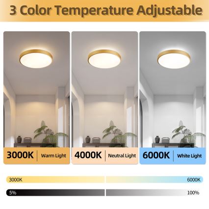 Brilagi - Plafonnier LED dimmable GLASS POOL DOUBLE LED/48W/230V 3000-6000K 40 cm doré + télécommande