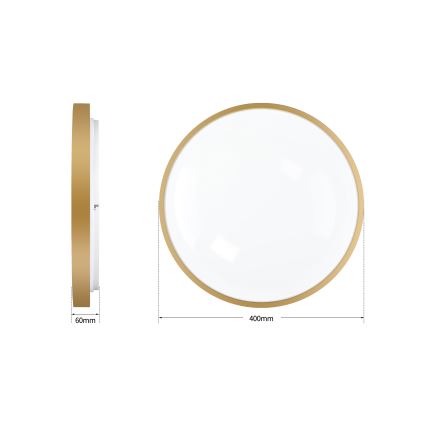 Brilagi - Plafonnier LED dimmable GLASS POOL DOUBLE LED/48W/230V 3000-6000K 40 cm doré + télécommande