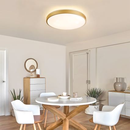 Brilagi - Plafonnier LED dimmable GLASS POOL DOUBLE LED/60W/230V 3000-6000K 50 cm doré + télécommande