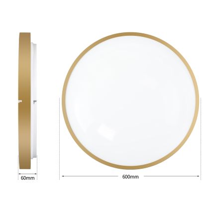 Brilagi - Plafonnier LED dimmable GLASS POOL DOUBLE LED/80W/230V 3000-6000K 60 cm doré + télécommande