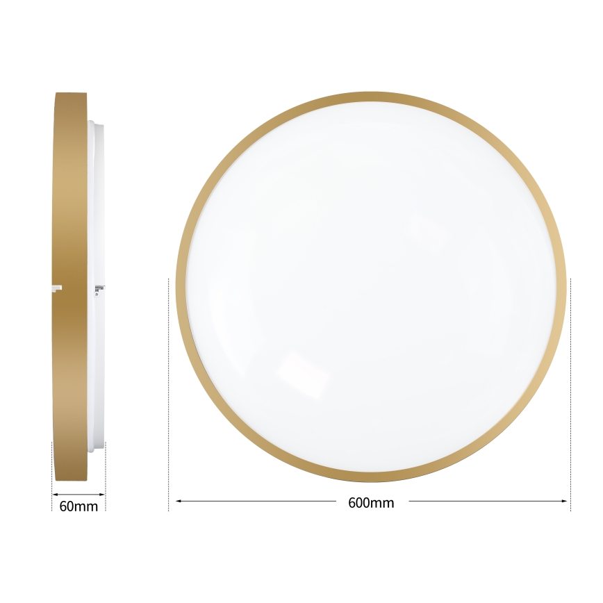 Brilagi - Plafonnier LED dimmable GLASS POOL DOUBLE LED/80W/230V 3000-6000K 60 cm doré + télécommande