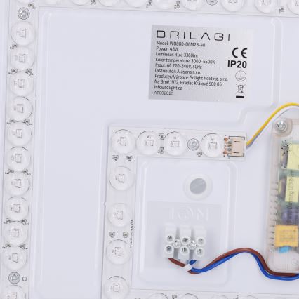 Brilagi - Plafonnier LED dimmable NAOMI LED/48W/230V 3000-6500K Ø 39 cm noir + télécommande