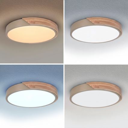 BRILAGI - Plafonnier LED dimmable PILANA LED/48W/230V 3000-6500K chêne/beige Ø 40 cm + télécommande
