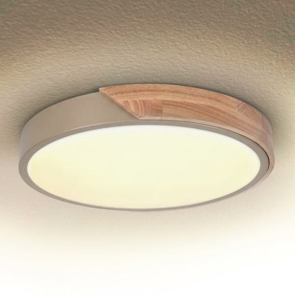 BRILAGI - Plafonnier LED dimmable PILANA LED/48W/230V 3000-6500K chêne/beige Ø 40 cm + télécommande