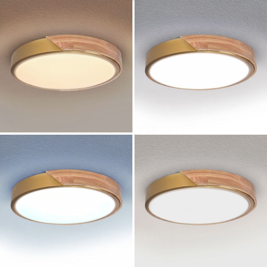 BRILAGI - plafonnier LED dimmable PILANA LED/48W/230V 3000–6500K chêne/doré Ø 40 cm + télécommande
