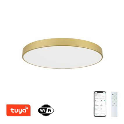 Brilagi - Plafonnier LED dimmable POOL SMART LED/100W/230V 3000-6000K 80 cm doré Wi-Fi Tuya + télécommande