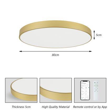 Brilagi - Plafonnier LED dimmable POOL SMART LED/100W/230V 3000-6000K 80 cm doré Wi-Fi Tuya + télécommande