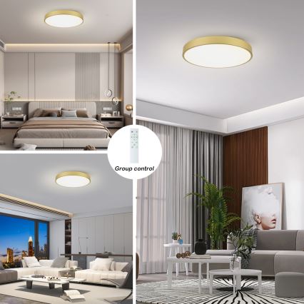 Brilagi - Plafonnier LED dimmable POOL SMART LED/100W/230V 3000-6000K 80 cm doré Wi-Fi Tuya + télécommande