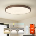 Brilagi - Luminaire LED dimmable POOL SMART LED/128 W/230 V Ø 100 cm 3000–6000 K Wi-Fi Tuya + télécommande marron