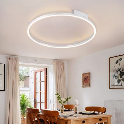 Brilagi - Plafonnier LED dimmable PORTOFINO LED/60W/230V 3000-6000K Ø 80 cm argenté + télécommande