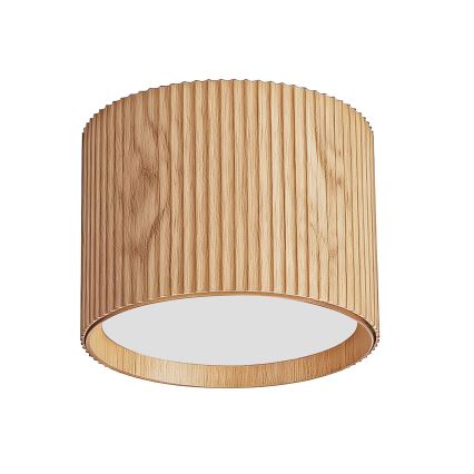 BRILAGI - Luminaire spot STRIPY 1xGX53/15W/230V 60x82 mm décor chêne