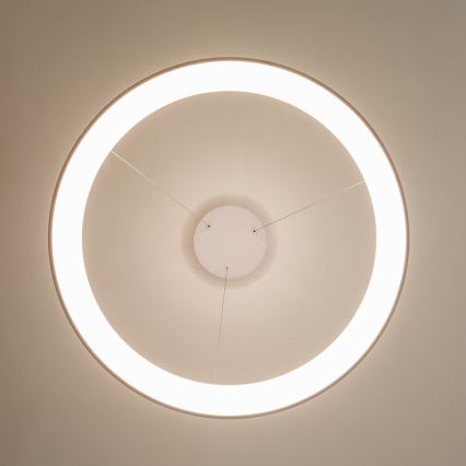 Brilagi - Lustre LED dimmable sur câble FALCON II LED/108W/230V 3000-6500K Ø 80 cm blanc + télécommande