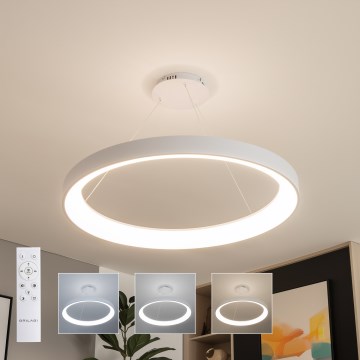 Brilagi - Lustre LED dimmable sur câble FALCON II LED/108W/230V 3000-6500K Ø 80 cm blanc + télécommande