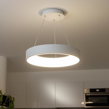 Brilagi - Lustre LED dimmable sur câble FALCON LED/80W/230V 3000-6500K Ø 60 cm blanc + télécommande